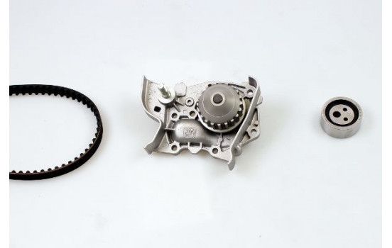 Water Pump & Timing Belt Set PK09310 Hepu