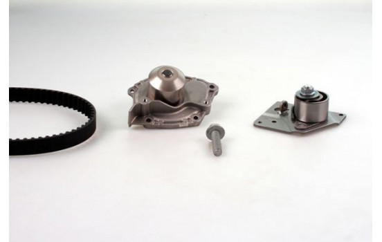 Water Pump & Timing Belt Set PK09551 Hepu