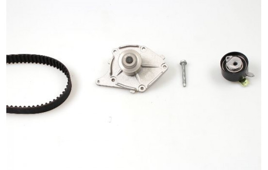 Water Pump & Timing Belt Set PK09581 Hepu
