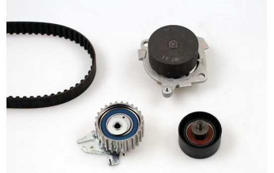 Water Pump & Timing Belt Set PK10120 Hepu