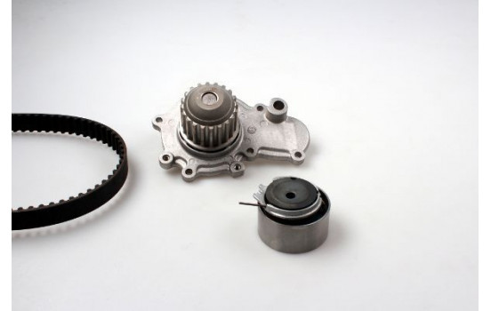 Water Pump & Timing Belt Set PK17172 Hepu