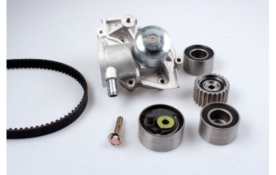 Water Pump & Timing Belt Set PK17202 Hepu