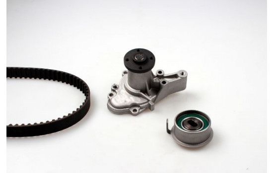Water Pump & Timing Belt Set PK79930 Hepu