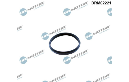 Gasket, timing chain tensioner