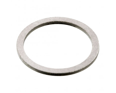 Seal Ring, timing chain tensioner 05552 FEBI