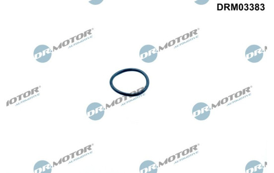 Seal ring, timing chain tensioner