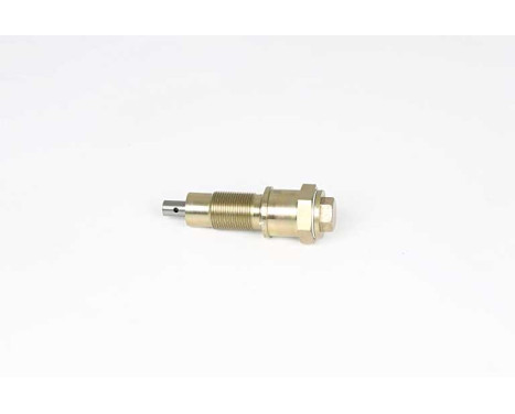 Tensioner, timing chain