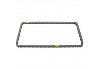 Timing Chain 100049 FEBI