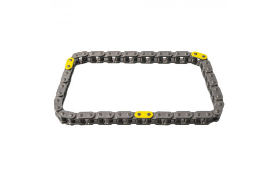 Timing Chain 100051 FEBI