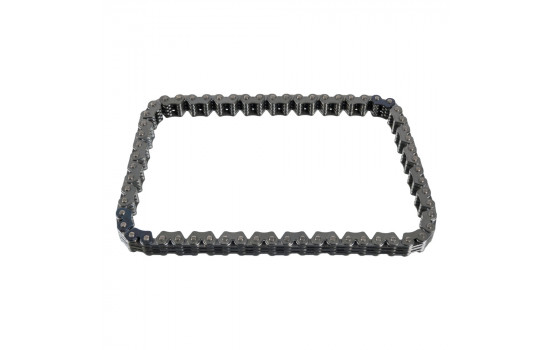 Timing Chain 100074 FEBI