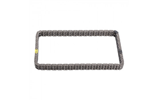 Timing Chain 100389 FEBI