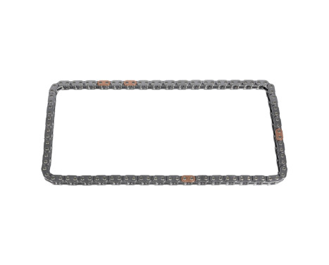 Timing Chain 106641 FEBI