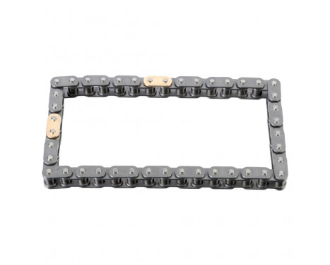 Timing Chain 109537 FEBI