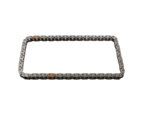 Timing Chain 15549 FEBI