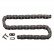 Timing Chain 25117 FEBI