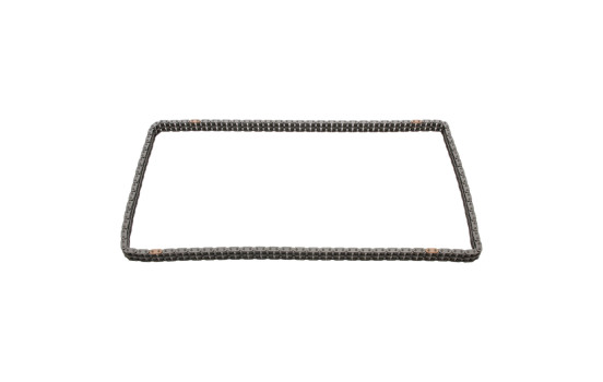 Timing Chain 25507 FEBI