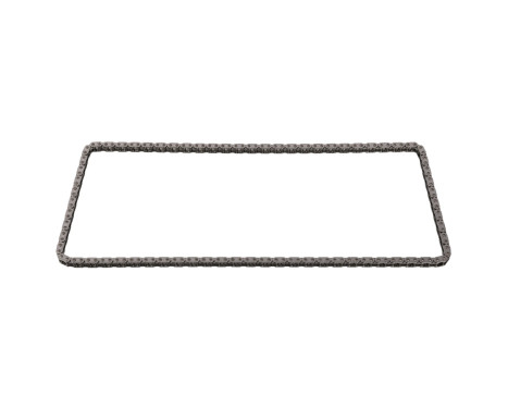 Timing Chain 28719 FEBI