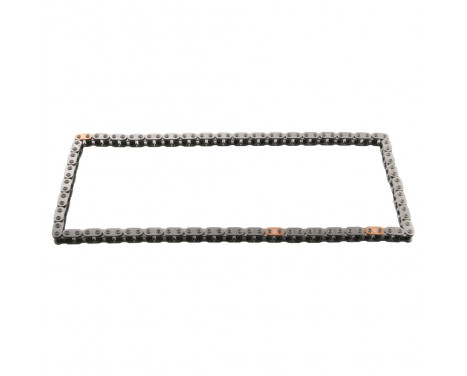 Timing Chain 31072 FEBI