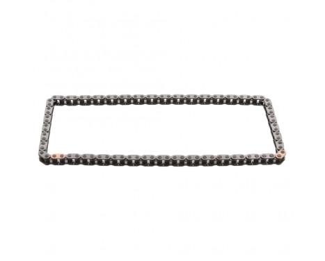 Timing Chain 31073 FEBI