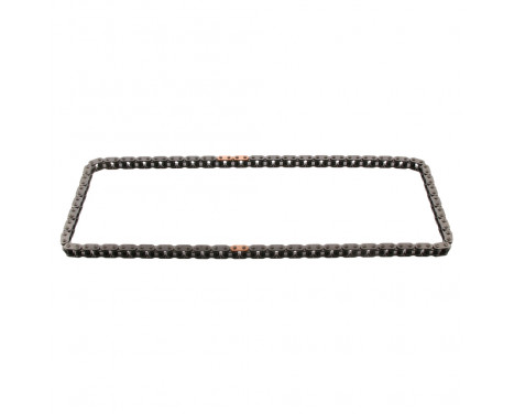 Timing Chain 31803 FEBI