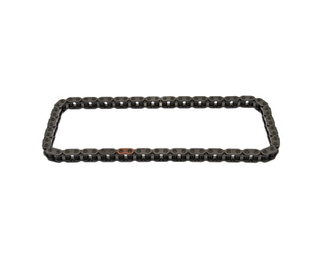Timing Chain 40301 FEBI