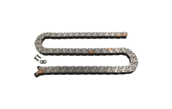 Timing Chain 45811 FEBI