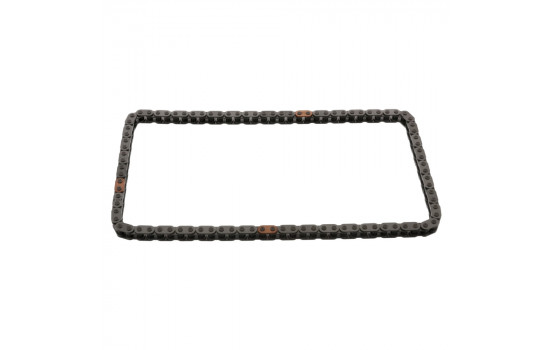 Timing Chain 47803 FEBI