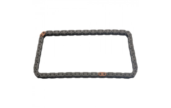 Timing Chain 48570 FEBI