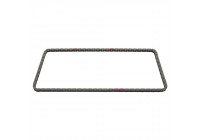 Timing Chain 49733 FEBI