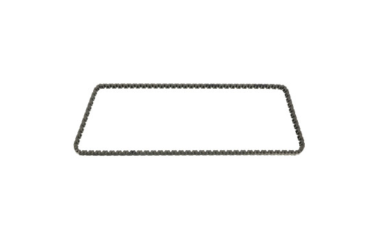 Timing Chain 49764 FEBI