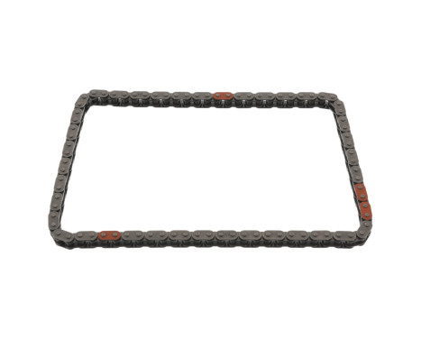 Timing Chain 49770 FEBI