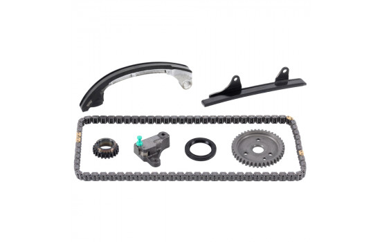 Timing Chain Kit