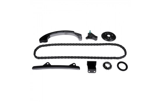 Timing Chain Kit