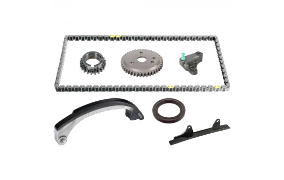 Timing Chain Kit