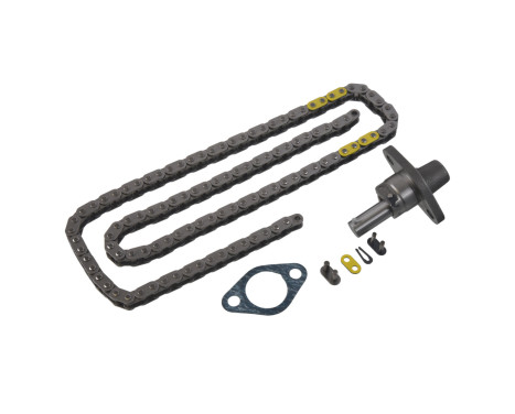 Timing Chain Kit