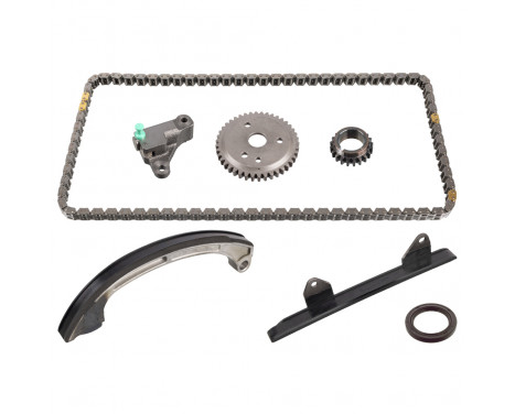 Timing Chain Kit
