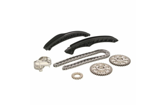 Timing Chain Kit