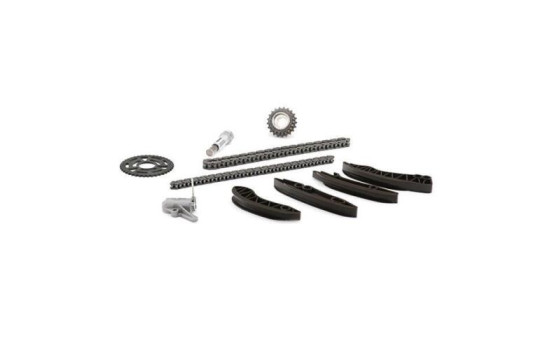 Timing Chain Kit