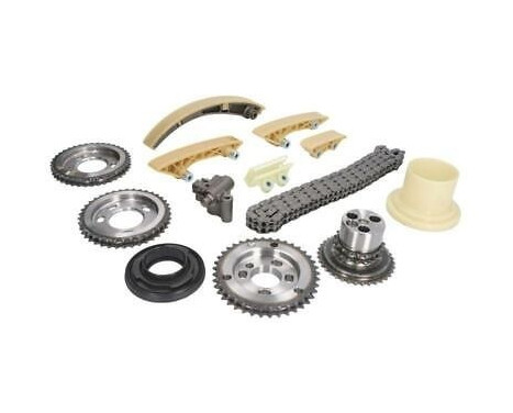 Timing Chain Kit