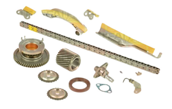 Timing Chain Kit