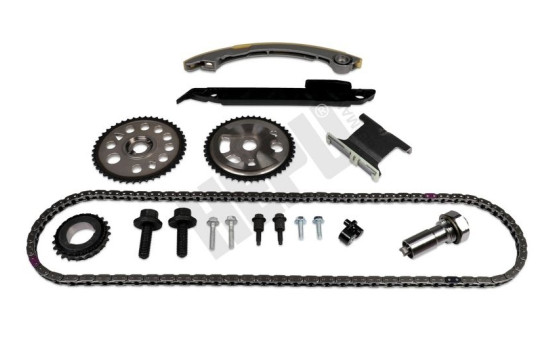 Timing Chain Kit