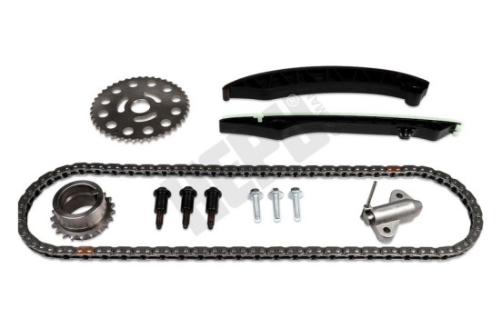 Timing Chain Kit