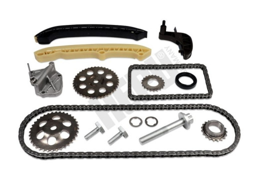 Timing Chain Kit