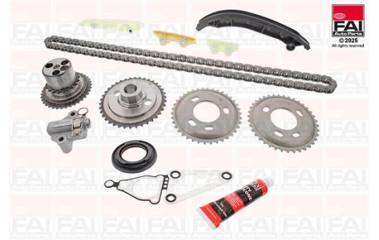 Timing Chain Kit