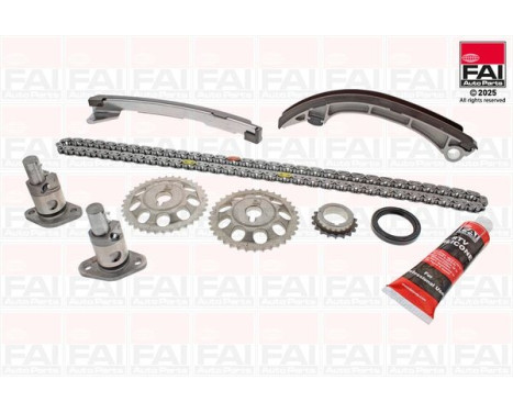 Timing Chain Kit