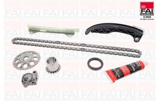 Timing Chain Kit
