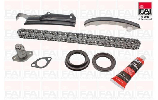 Timing Chain Kit