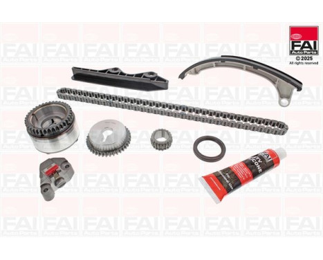 Timing Chain Kit