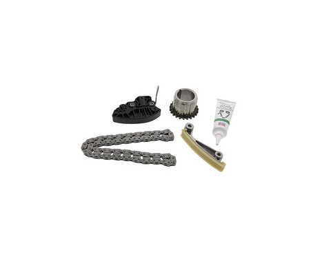 Timing Chain Set