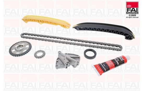 Timing chain set
